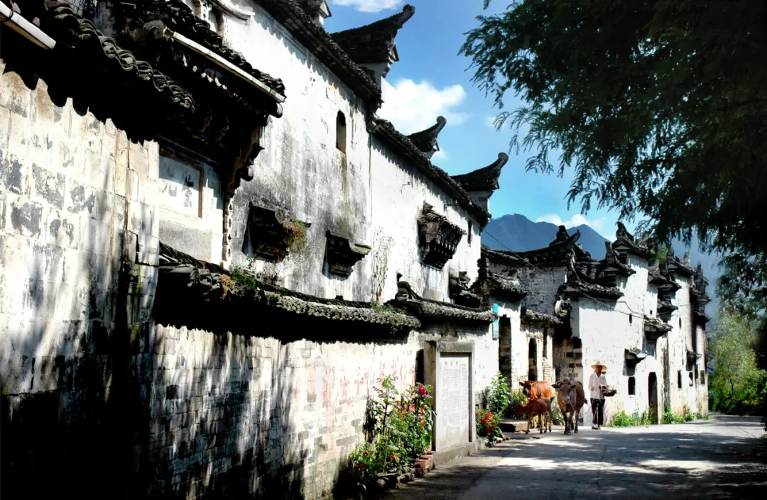 如图片无法显示，请刷新页面